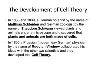 History of cell biology asdfghkdkskdfdkf | PPTX