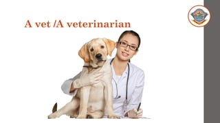 A vet /A veterinarian
 