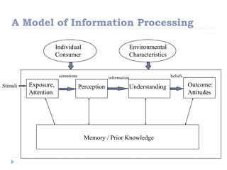 A Model of Information Processing
Exposure,
Attention
Perception Understanding Outcome:
Attitudes
sensations information
Memory / Prior Knowledge
Individual
Consumer
Environmental
Characteristics
Stimuli
beliefs
 