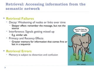 Retrieval: Accessing information from the
semantic network
 Retrieval Failures
 Decay: Weakening of nodes or links over time
 Sleeper effect: remember the message, but not the
source
 Interference: Signals getting mixed up
 E.g. similar ads
 Primacy and Recency Effects
 Greater memory for information that comes first or
last in a sequence
 Retrieval Errors
 Memory is subject to distortion and confusion
 
