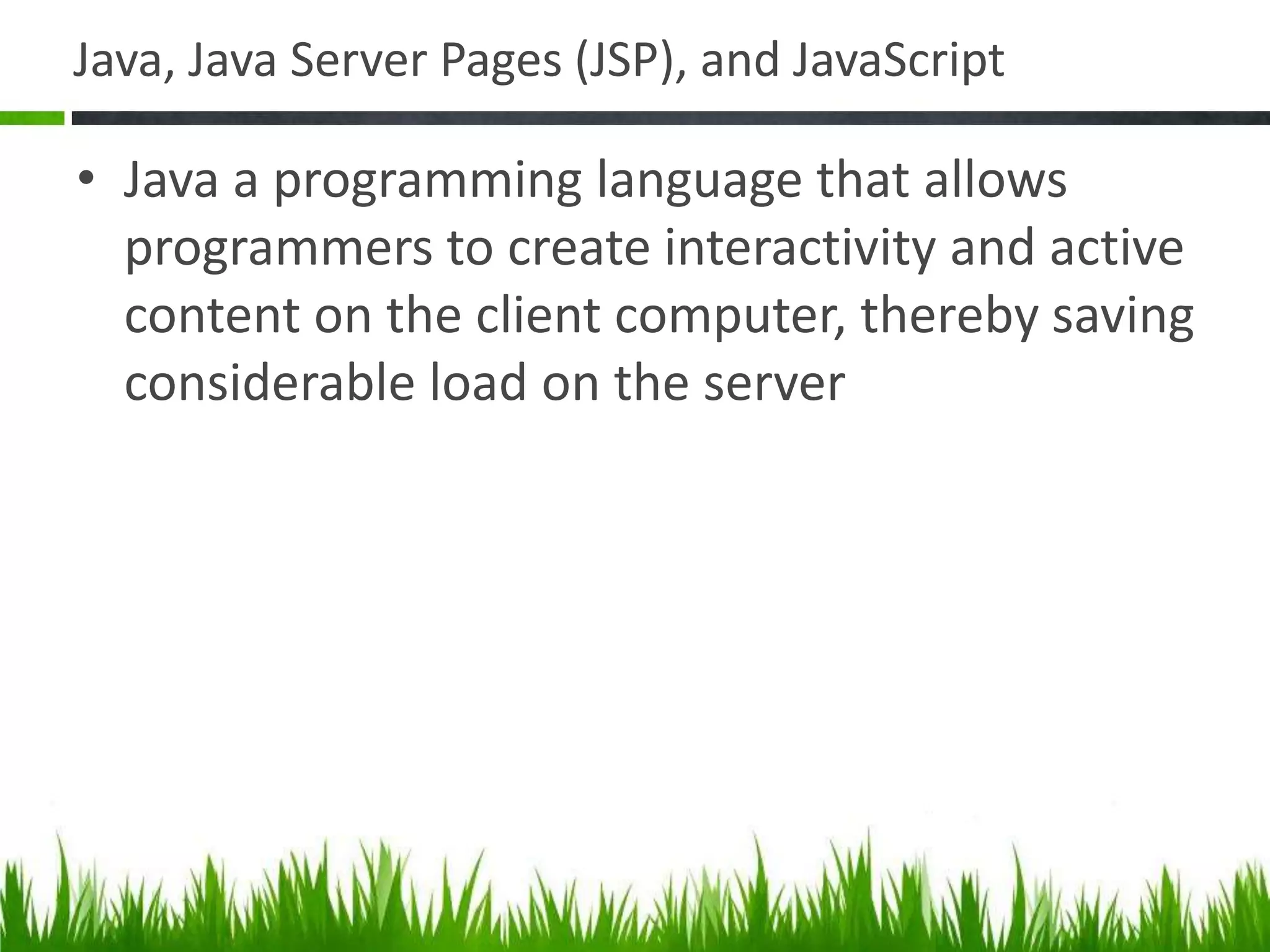 Java, Java Server Pages (JSP), and JavaScript
• Java a programming language that allows
programmers to create interactivity and active
content on the client computer, thereby saving
considerable load on the server
 