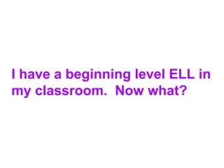 I have a beginning level ELL in
my classroom. Now what?
 