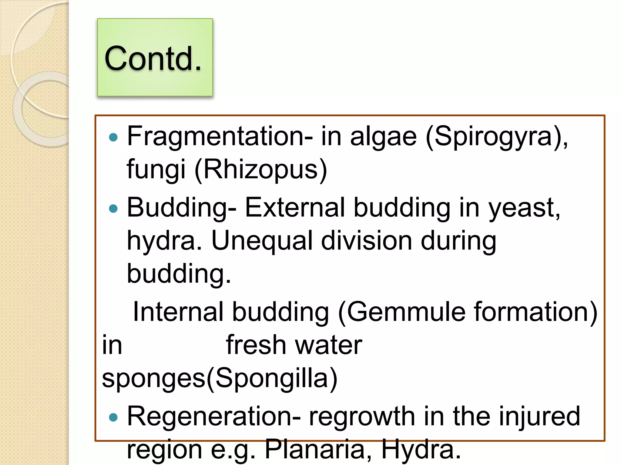 Contd.
 Fragmentation- in algae (Spirogyra),
fungi (Rhizopus)
 Budding- External budding in yeast,
hydra. Unequal division during
budding.
Internal budding (Gemmule formation)
in fresh water
sponges(Spongilla)
 Regeneration- regrowth in the injured
region e.g. Planaria, Hydra.
 