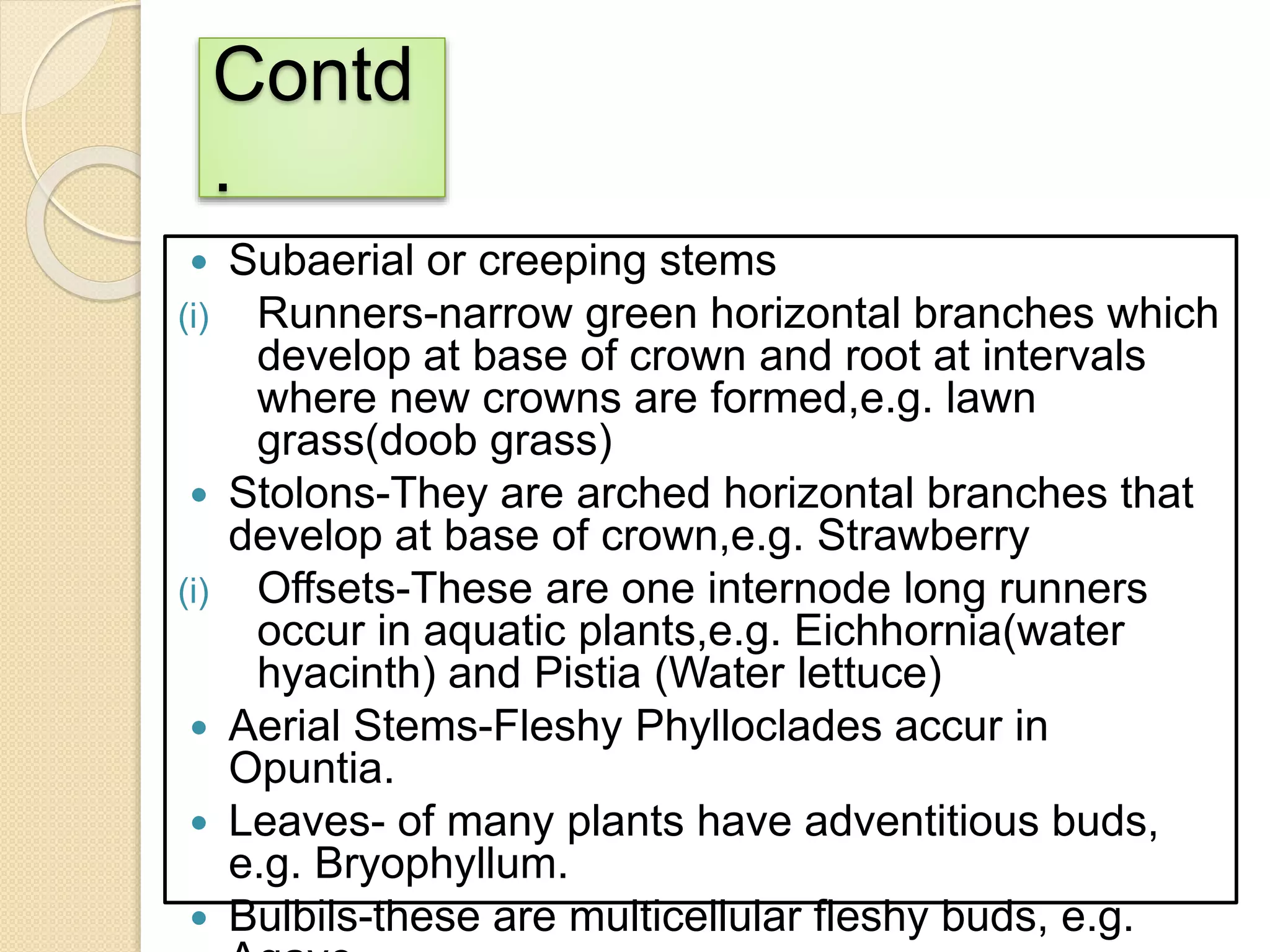 Contd
.
 Subaerial or creeping stems
(i) Runners-narrow green horizontal branches which
develop at base of crown and root at intervals
where new crowns are formed,e.g. lawn
grass(doob grass)
 Stolons-They are arched horizontal branches that
develop at base of crown,e.g. Strawberry
(i) Offsets-These are one internode long runners
occur in aquatic plants,e.g. Eichhornia(water
hyacinth) and Pistia (Water lettuce)
 Aerial Stems-Fleshy Phylloclades accur in
Opuntia.
 Leaves- of many plants have adventitious buds,
e.g. Bryophyllum.
 Bulbils-these are multicellular fleshy buds, e.g.
 