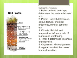 Factorsof SoilFormation:
1. Relief: Altitude and slope
determines the accumulation of
soil.
2. Parent Rock: It determines,
colour, texture, chemical
properties, mineral contents,
etc.
3. Climate: Rainfall and
temperature influence rate of
humus and weathering.
4. Time: It determines thickness
of soil profile.
5. Organisms: Microorganisms
& vegetation affect the rate of
humus formation.
Soil Profile:
 