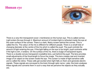 There is a very thin transparent cover ( membrane) on the human eye. This is called cornea.
Light enters the eye through it. Maximum amount of incident light is refracted inside the eye at
the outer surface of the cornea. There is a dark, fleshy screen behind the cornea. This is
called the Iris. The colour of the Iris is different for different people. There is a small hole of
changing diameter at the centre of the Iris which is called the pupil. The pupil controls the
amount of light entering the eye. If the light falling on the eye is too bright, pupil contracts while
if the light is dim, it widens. On the surface of the iris, there is bulge of transparent layers.
There is a double convex transparent crystalline lens, just behind the pupil. The lens provides
small adjustments of the focal length to focus the image. This lens creates real and inverted
image of an object on the screen inside the eye. This screen is made of light sensitive cells
and is called the retina. These cells get excited when light falls on them and generate electric
signals. These signals are conveyed to the brain through optic nerve. Later, the brain analyses
these signals and converts them in such a way that we perceive the objects as they actually
are.
 
