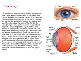 The retina in our eyes is made up of many light sensitive
cells. These cells are shaped like a rod and like a cone.
The rod like cells respond to the intensity of light and give
information about the brightness or dimness of the object
to the brain. The conical cells respond to the colour and
give information about the colour of the object to the
brain. Brain processes all the information received and
we see the actual image of the object. Rod like cells
respond to faint light also but conical cells do not. Thus
we perceive colours only in bright light. The conical cells
can respond differently to red, green and blue colours.
When red colour falls on the eyes, the cells responding to
red light get excited more than those responding to other
colours and we get the sensation of red colour. Some
people lack conical cells responding to certain colours.
These persons cannot recognize those colours or cannot
distinguish between different colours. These persons are
said to be colour blind. Apart from not being able to
distinguish between different colours, their eye sight is
normal.
 