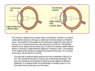 The minimum distance of an object from a normal eye, at which it is clearly
visible without stress on the eye, is called as minimum distance of distinct
vision. The position of the object at this distance is called the near point of
the eye, for a normal human eye, the near point is at 25 cm. The farthest
distance of an object from a human eye, at which it is clearly visible without
stress on the eye is called farthest diastance of distinct vision. The position
of the object at this distance is called the far point of the eye. For a normal
human eye, the far point is at infinity
The eye ball is approximately sperical and has a diameter of about 2.4
cm. The working of the lens in human eye is extremely important. The
lens can change its focal length to adjust and see objects at different
distances. In a relaxed state, the focal length of healthy eyes is 2 cm.
The other focus of the eye is on the retina.
 