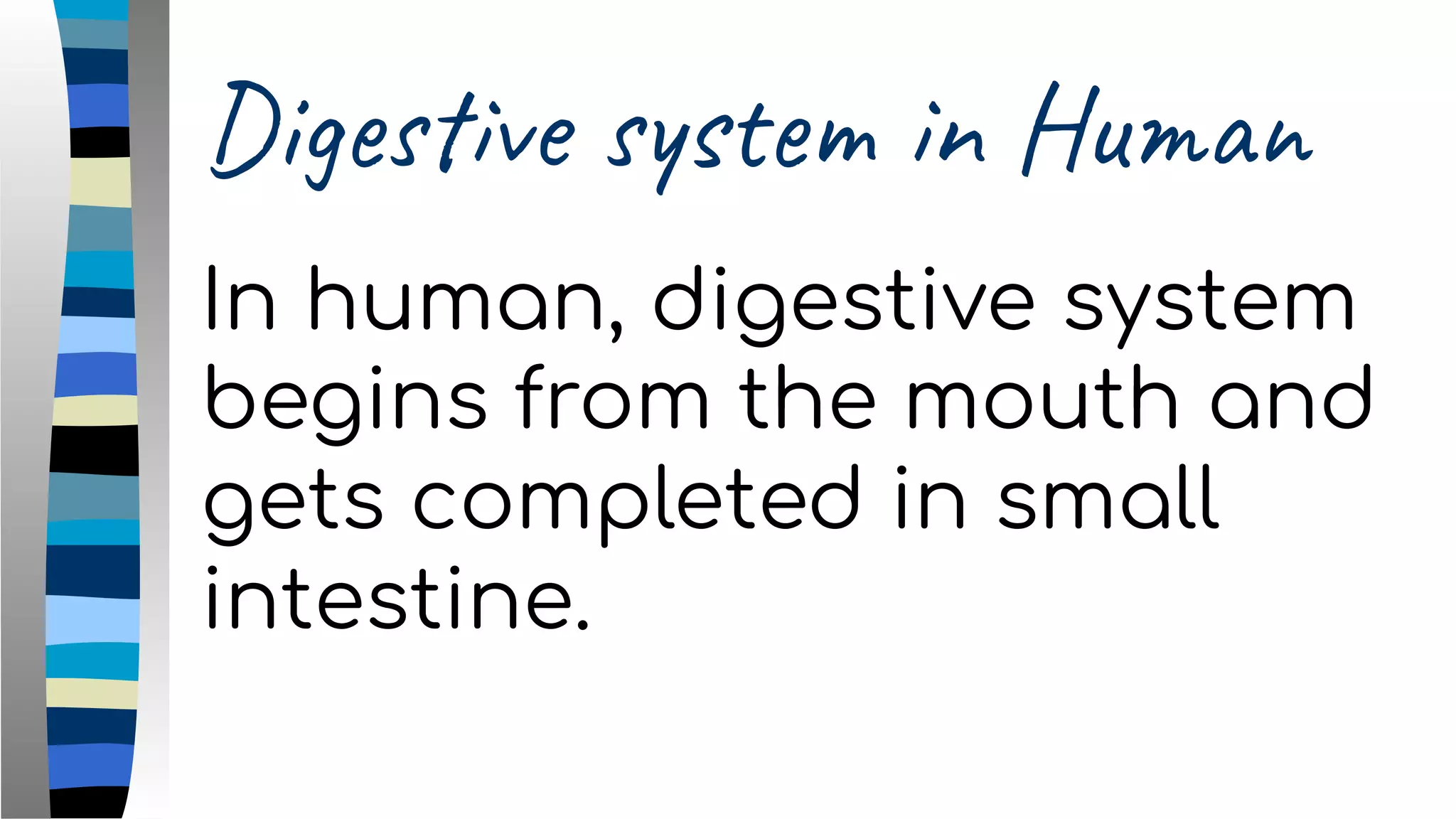 Digestive system in Human
In human, digestive system
begins from the mouth and
gets completed in small
intestine.
 
