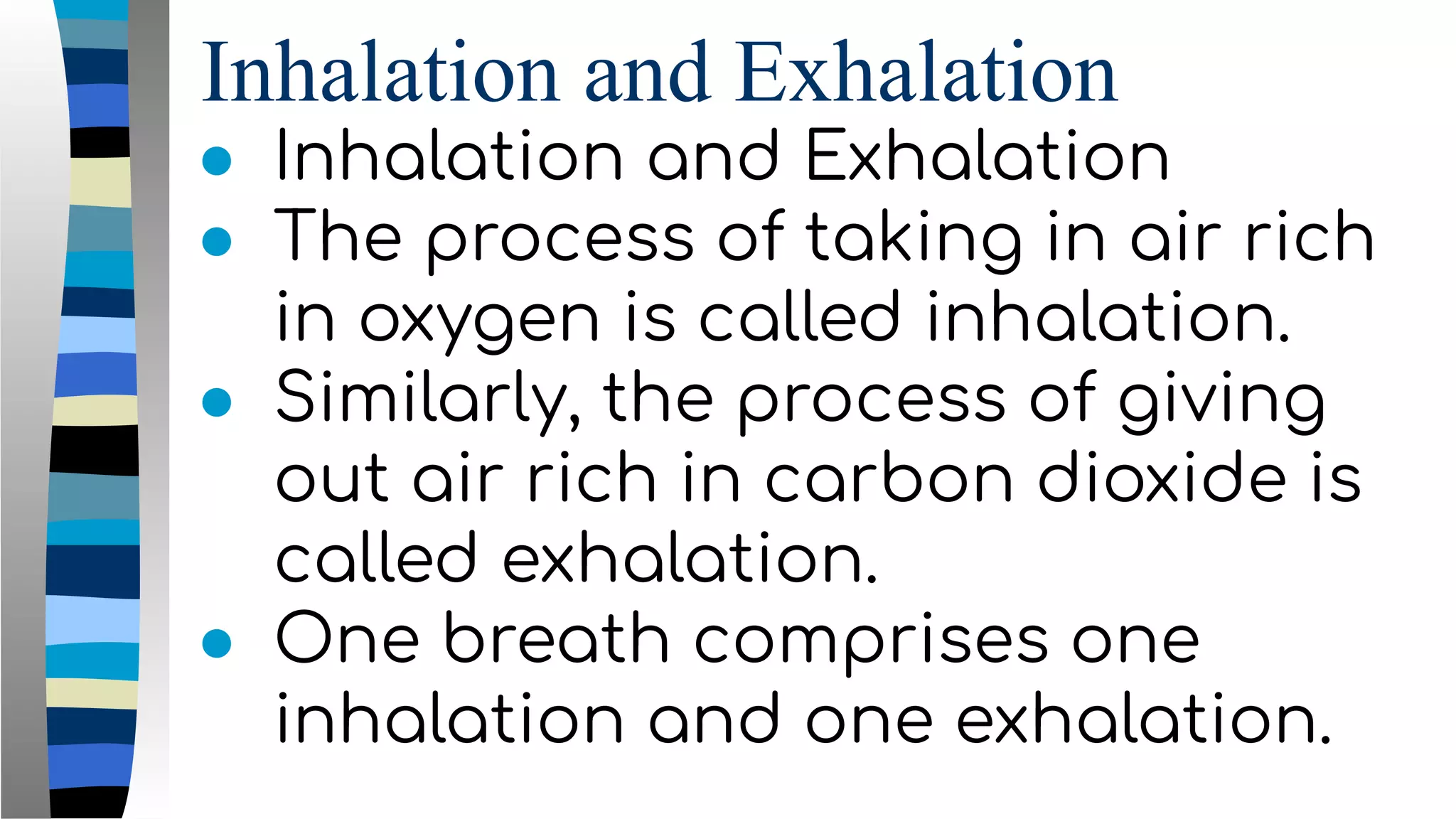 Inhalation and Exhalation
● Inhalation and Exhalation
● The process of taking in air rich
in oxygen is called inhalation.
● Similarly, the process of giving
out air rich in carbon dioxide is
called exhalation.
● One breath comprises one
inhalation and one exhalation.
 