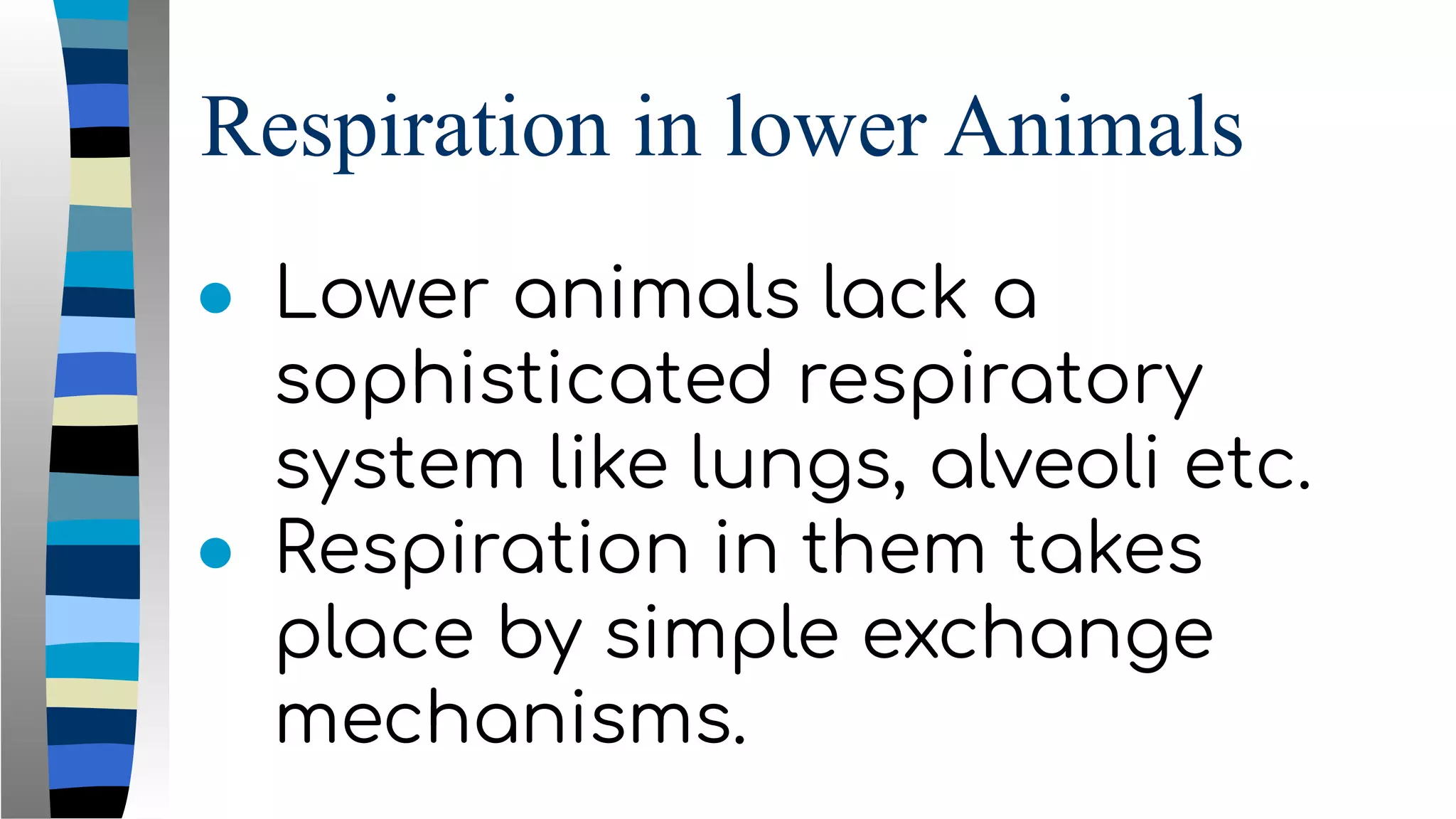 Respiration in lower Animals
● Lower animals lack a
sophisticated respiratory
system like lungs, alveoli etc.
● Respiration in them takes
place by simple exchange
mechanisms.
 