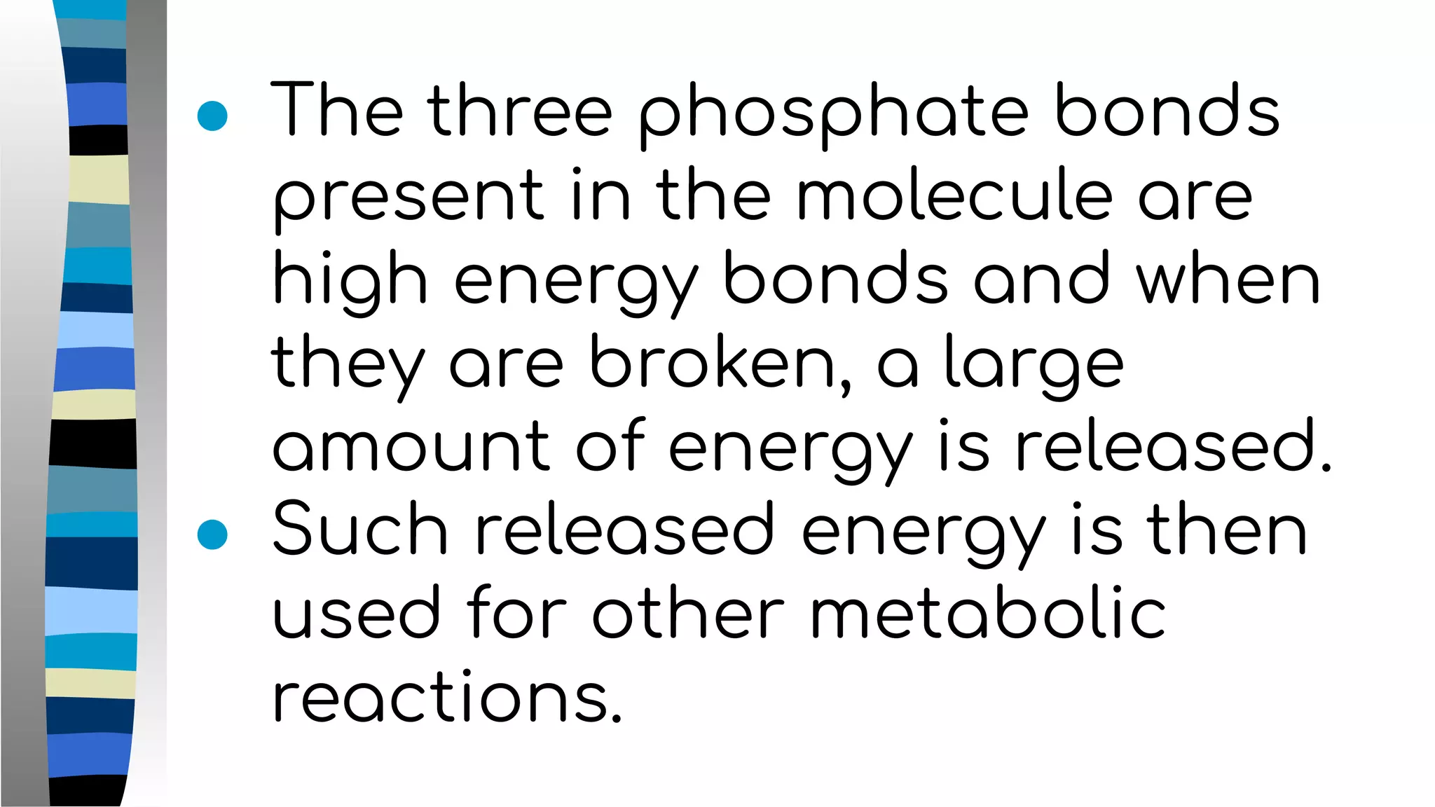 ● The three phosphate bonds
present in the molecule are
high energy bonds and when
they are broken, a large
amount of energy is released.
● Such released energy is then
used for other metabolic
reactions.
 