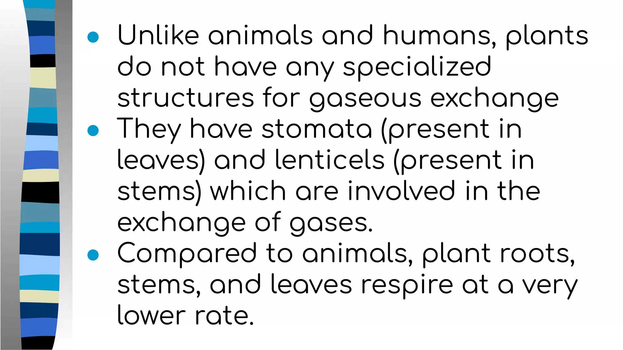 ● Unlike animals and humans, plants
do not have any specialized
structures for gaseous exchange
● They have stomata (present in
leaves) and lenticels (present in
stems) which are involved in the
exchange of gases.
● Compared to animals, plant roots,
stems, and leaves respire at a very
lower rate.
 