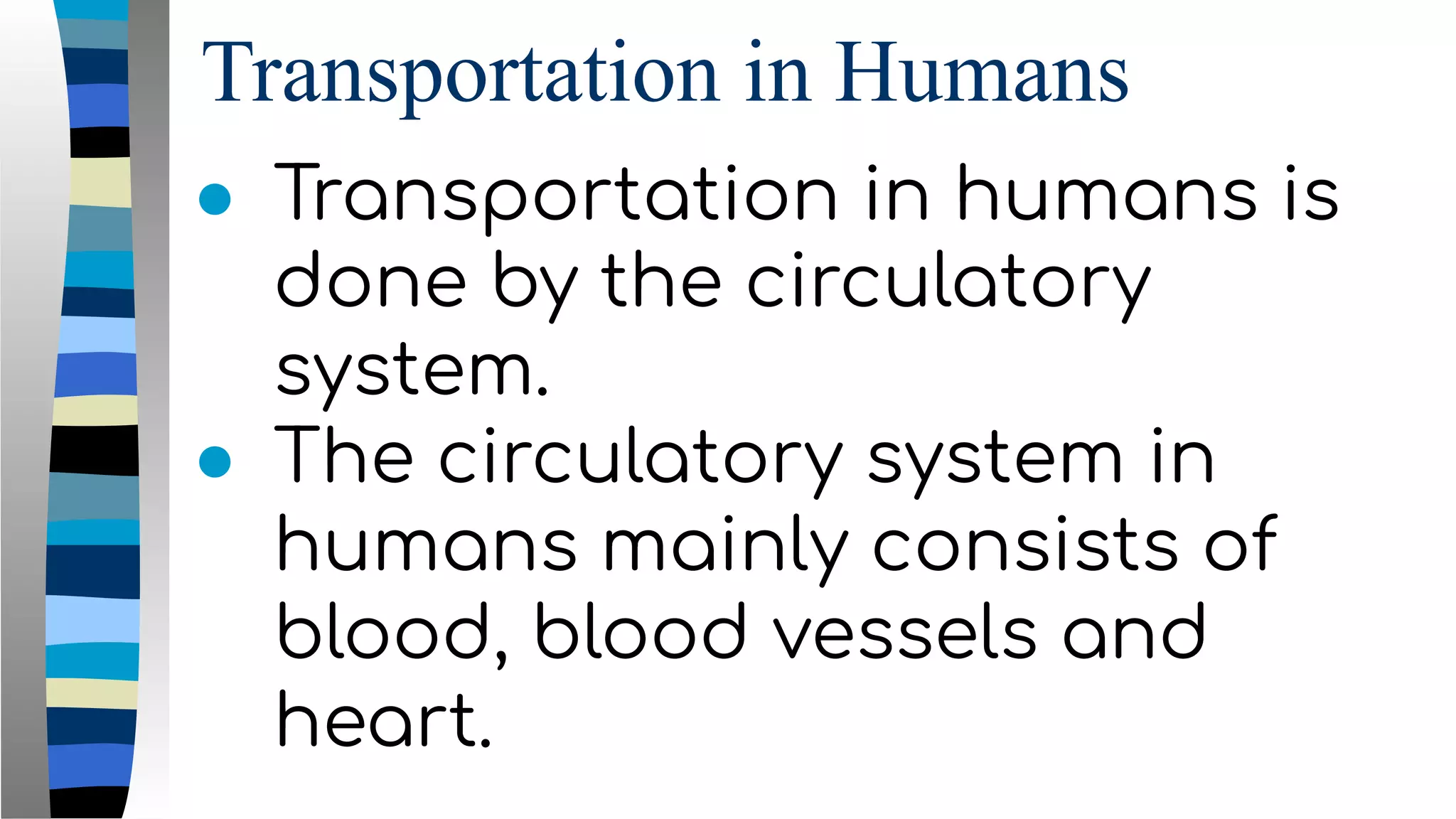 Transportation in Humans
● Transportation in humans is
done by the circulatory
system.
● The circulatory system in
humans mainly consists of
blood, blood vessels and
heart.
 