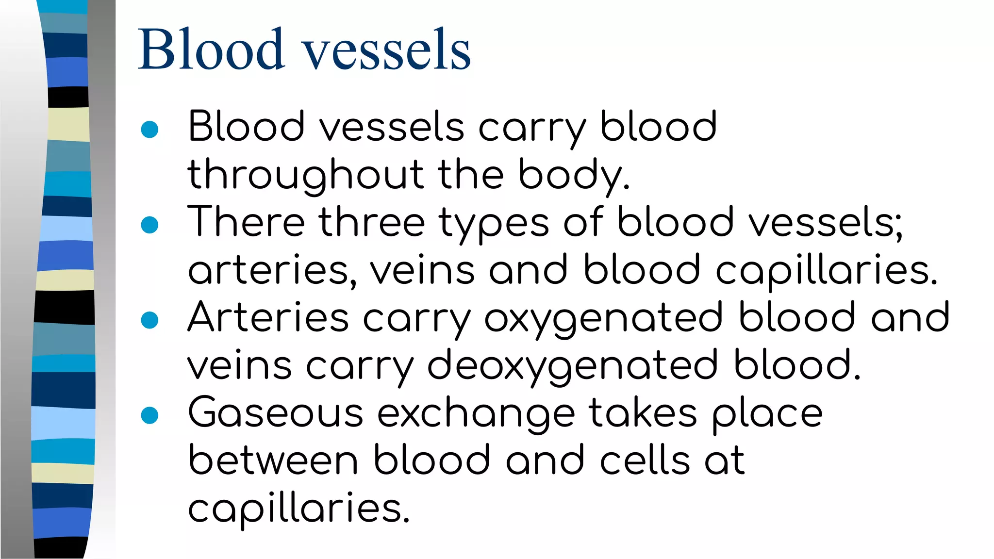 Blood vessels
● Blood vessels carry blood
throughout the body.
● There three types of blood vessels;
arteries, veins and blood capillaries.
● Arteries carry oxygenated blood and
veins carry deoxygenated blood.
● Gaseous exchange takes place
between blood and cells at
capillaries.
 