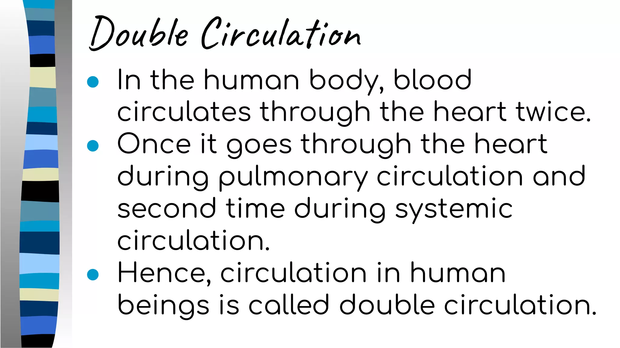 Double Circulation
● In the human body, blood
circulates through the heart twice.
● Once it goes through the heart
during pulmonary circulation and
second time during systemic
circulation.
● Hence, circulation in human
beings is called double circulation.
 