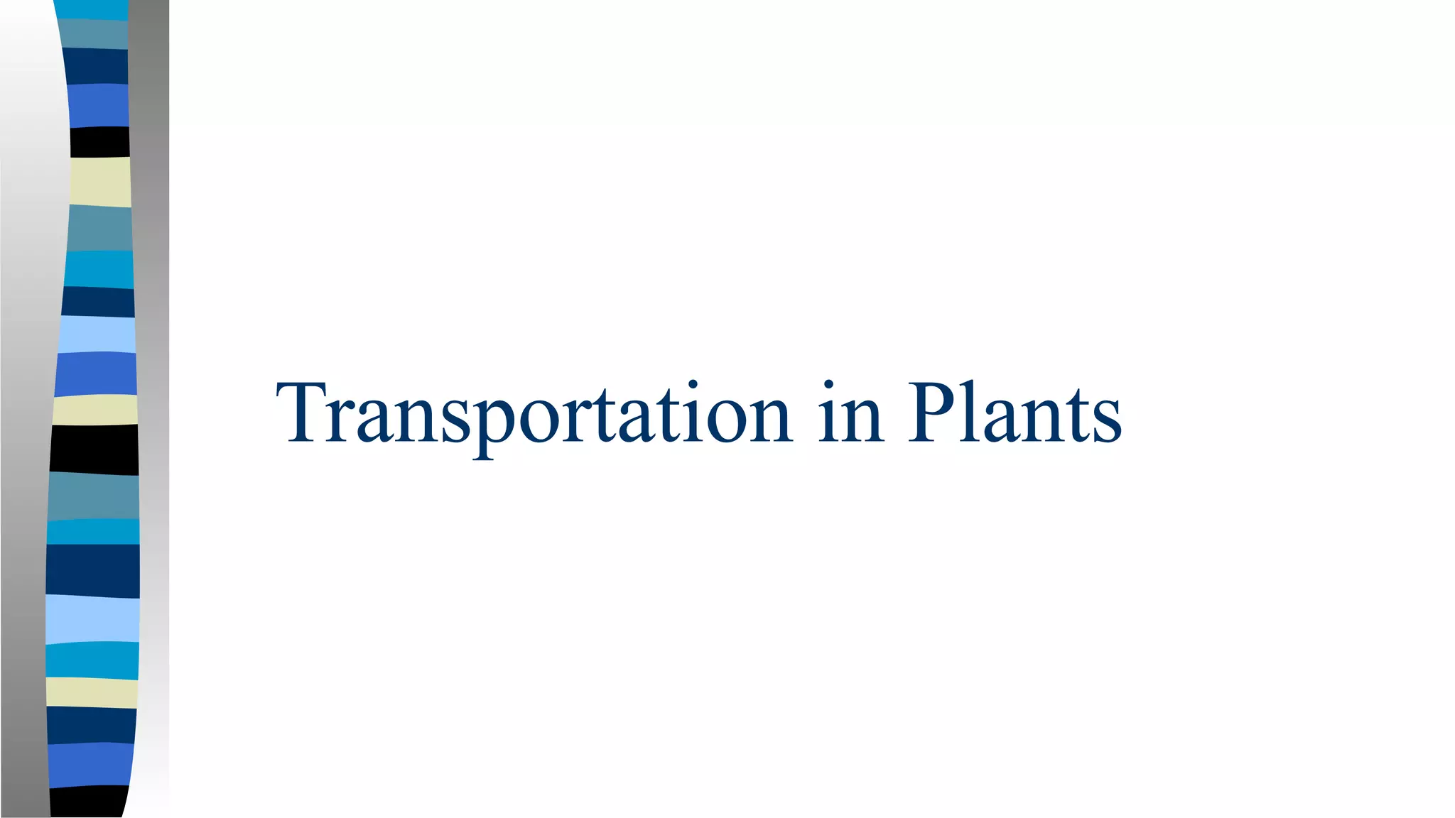 Transportation in Plants
 