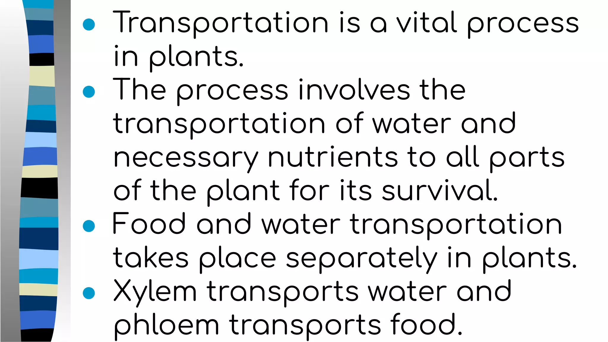 ● Transportation is a vital process
in plants.
● The process involves the
transportation of water and
necessary nutrients to all parts
of the plant for its survival.
● Food and water transportation
takes place separately in plants.
● Xylem transports water and
phloem transports food.
 