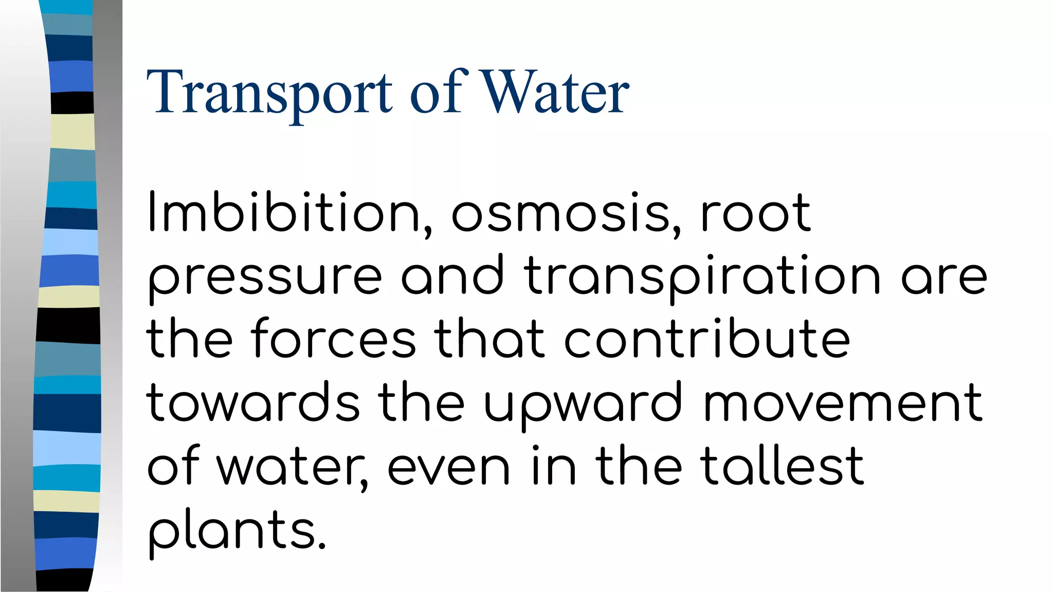 Transport of Water
Imbibition, osmosis, root
pressure and transpiration are
the forces that contribute
towards the upward movement
of water, even in the tallest
plants.
 