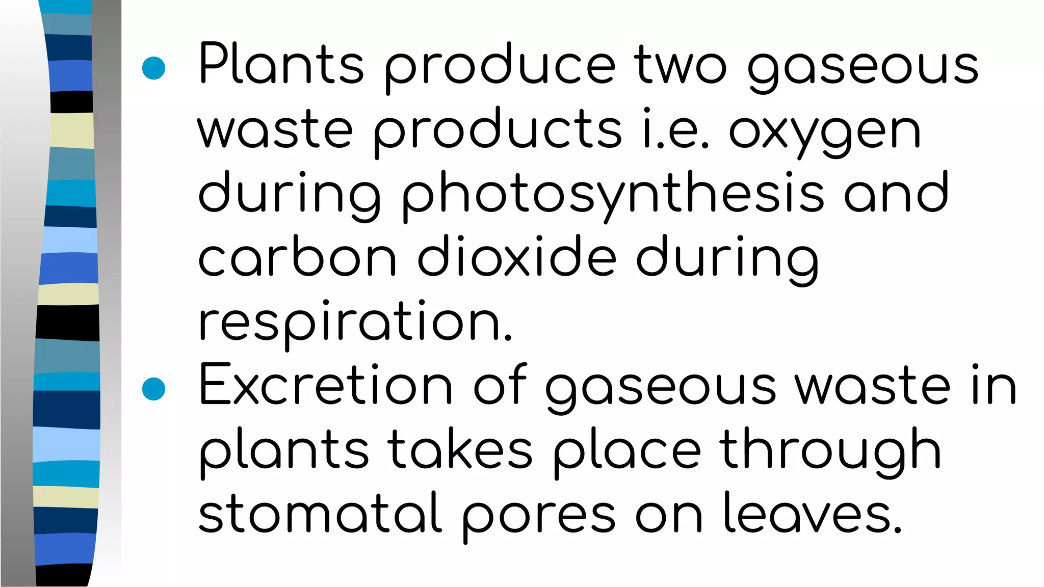● Plants produce two gaseous
waste products i.e. oxygen
during photosynthesis and
carbon dioxide during
respiration.
● Excretion of gaseous waste in
plants takes place through
stomatal pores on leaves.
 