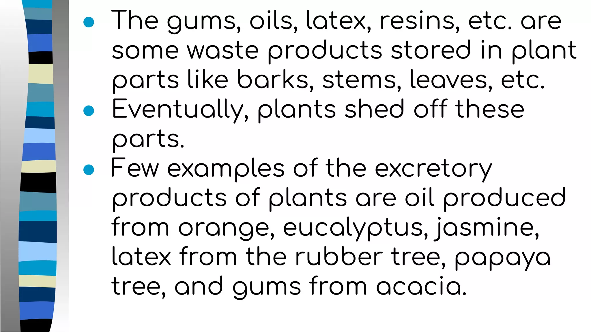 ● The gums, oils, latex, resins, etc. are
some waste products stored in plant
parts like barks, stems, leaves, etc.
● Eventually, plants shed off these
parts.
● Few examples of the excretory
products of plants are oil produced
from orange, eucalyptus, jasmine,
latex from the rubber tree, papaya
tree, and gums from acacia.
 
