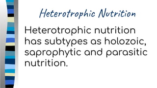 Heterotrophic Nutrition
Heterotrophic nutrition
has subtypes as holozoic,
saprophytic and parasitic
nutrition.
 