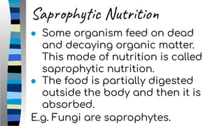 Saprophytic Nutrition
● Some organism feed on dead
and decaying organic matter.
This mode of nutrition is called
saprophytic nutrition.
● The food is partially digested
outside the body and then it is
absorbed.
E.g. Fungi are saprophytes.
 