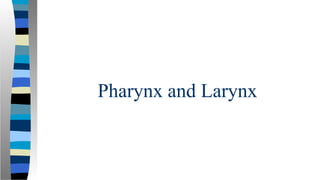 Pharynx and Larynx
 