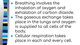 ● Breathing involves the
inhalation of oxygen and
exhalation of carbon dioxide.
● The gaseous exchange takes
place in the lungs and oxygen
is supplied to all cells of the
body.
● Cellular respiration takes
place in each and every cell.
 