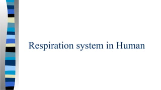 Respiration system in Human
 
