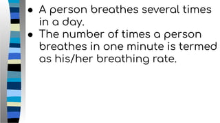 ● A person breathes several times
in a day.
● The number of times a person
breathes in one minute is termed
as his/her breathing rate.
 