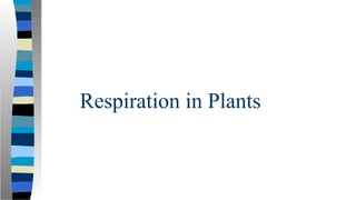 Respiration in Plants
 