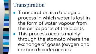 Transpiration
● Transpiration is a biological
process in which water is lost in
the form of water vapour from
the aerial parts of the plants.
● This process occurs mainly
through the stomata where the
exchange of gases (oxygen and
carbon dioxide) occurs.
 
