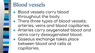 Blood vessels
● Blood vessels carry blood
throughout the body.
● There three types of blood vessels;
arteries, veins and blood capillaries.
● Arteries carry oxygenated blood and
veins carry deoxygenated blood.
● Gaseous exchange takes place
between blood and cells at
capillaries.
 