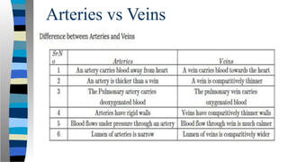 Arteries vs Veins
 