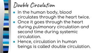 Double Circulation
● In the human body, blood
circulates through the heart twice.
● Once it goes through the heart
during pulmonary circulation and
second time during systemic
circulation.
● Hence, circulation in human
beings is called double circulation.
 