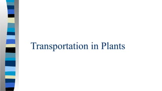 Transportation in Plants
 