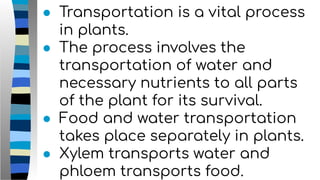 ● Transportation is a vital process
in plants.
● The process involves the
transportation of water and
necessary nutrients to all parts
of the plant for its survival.
● Food and water transportation
takes place separately in plants.
● Xylem transports water and
phloem transports food.
 