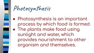 Photosynthesis
● Photosynthesis is an important
process by which food is formed.
● The plants make food using
sunlight and water, which
provides nourishment to other
organism and themselves.
 