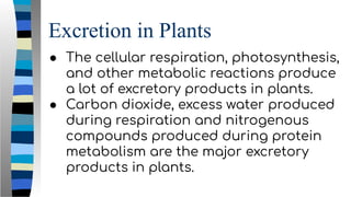 Excretion in Plants
● The cellular respiration, photosynthesis,
and other metabolic reactions produce
a lot of excretory products in plants.
● Carbon dioxide, excess water produced
during respiration and nitrogenous
compounds produced during protein
metabolism are the major excretory
products in plants.
 