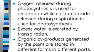 ● Oxygen released during
photosynthesis is used for
respiration while carbon dioxide
released during respiration is
used for photosynthesis.
● Excess water is excreted by
transpiration.
● Organic by-products generated
by the plant are stored in
different forms in different parts.
 