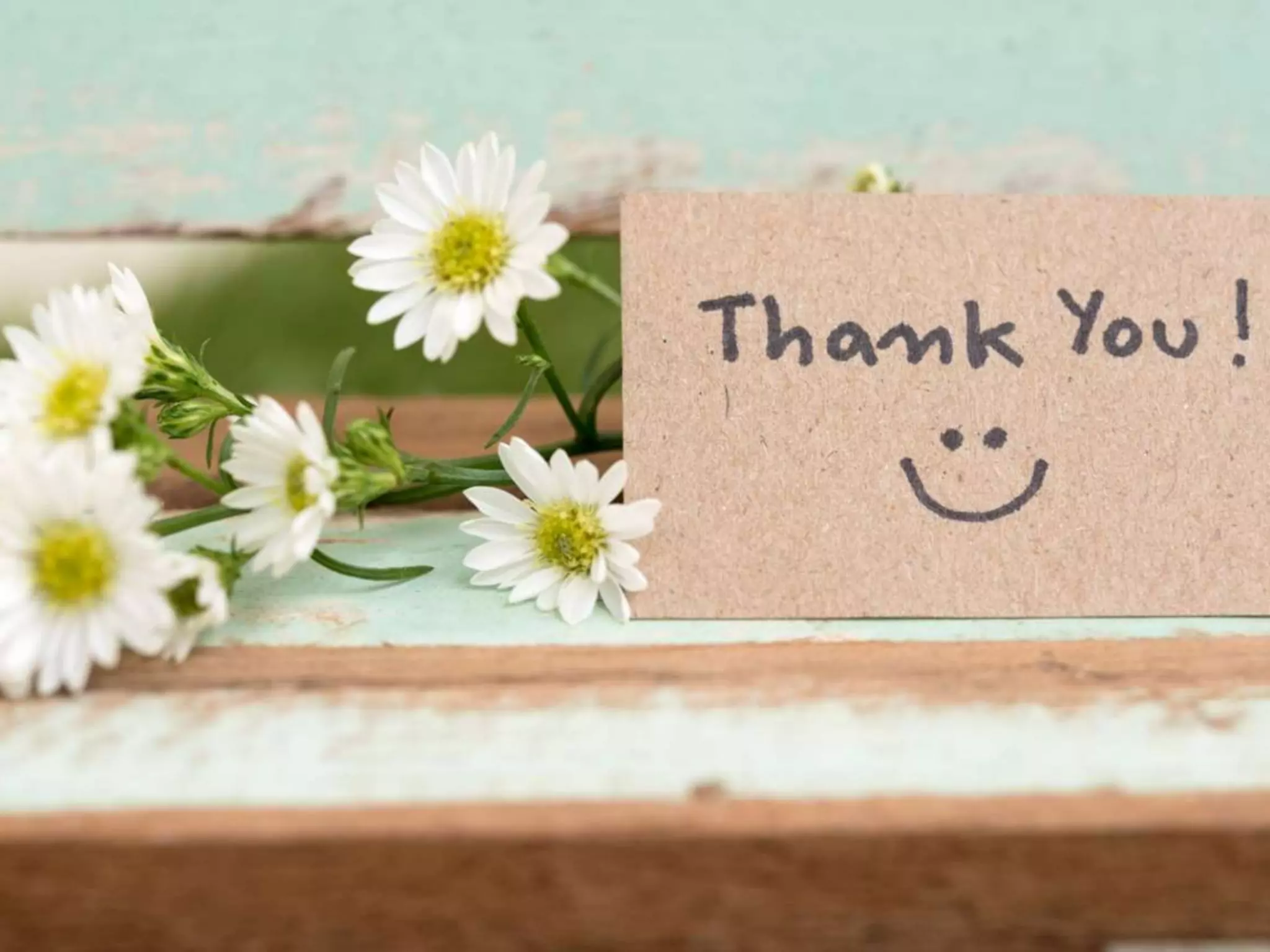 wildlife and forest resources 