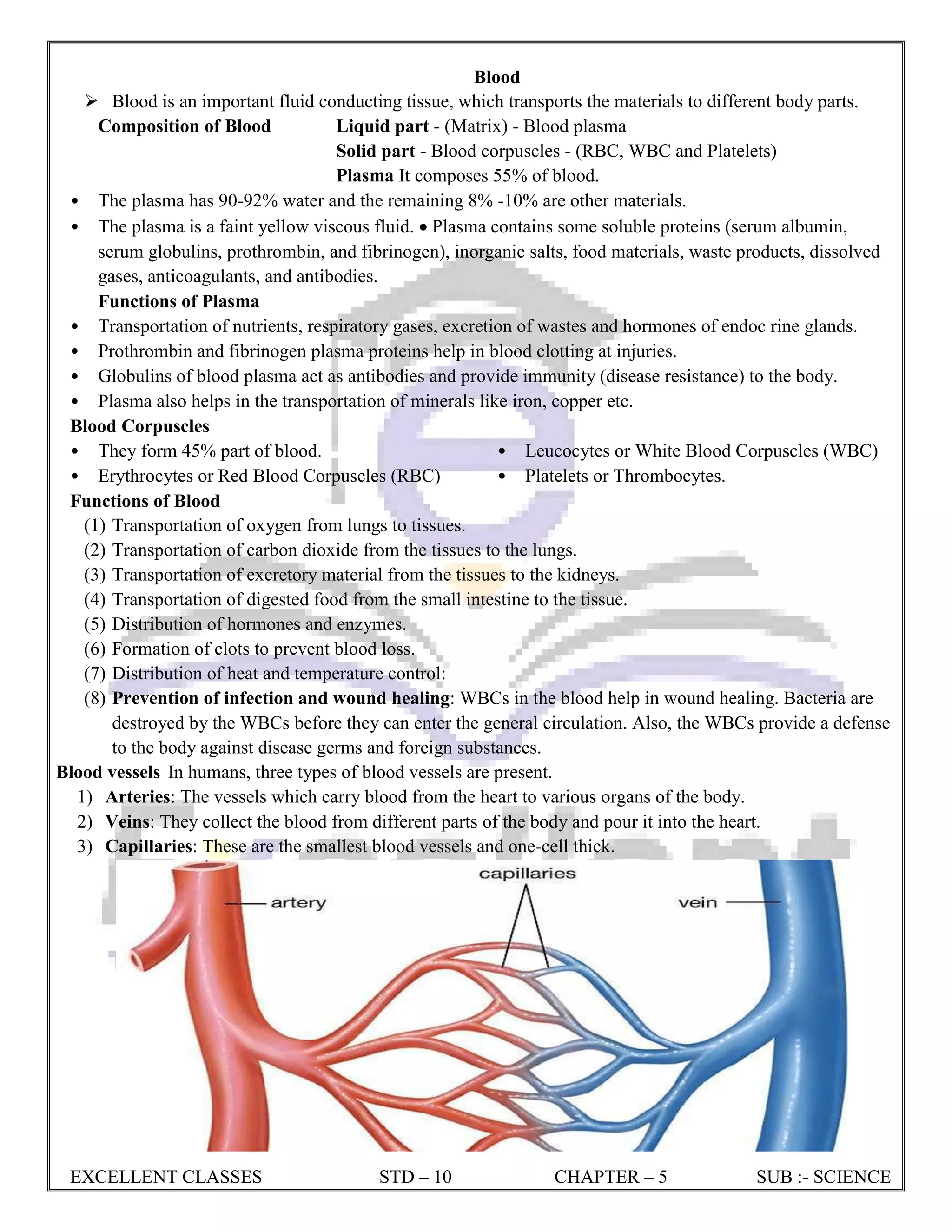 CLASS 10 CH 5 LIFE PROCESSES NOTES EX.pdf