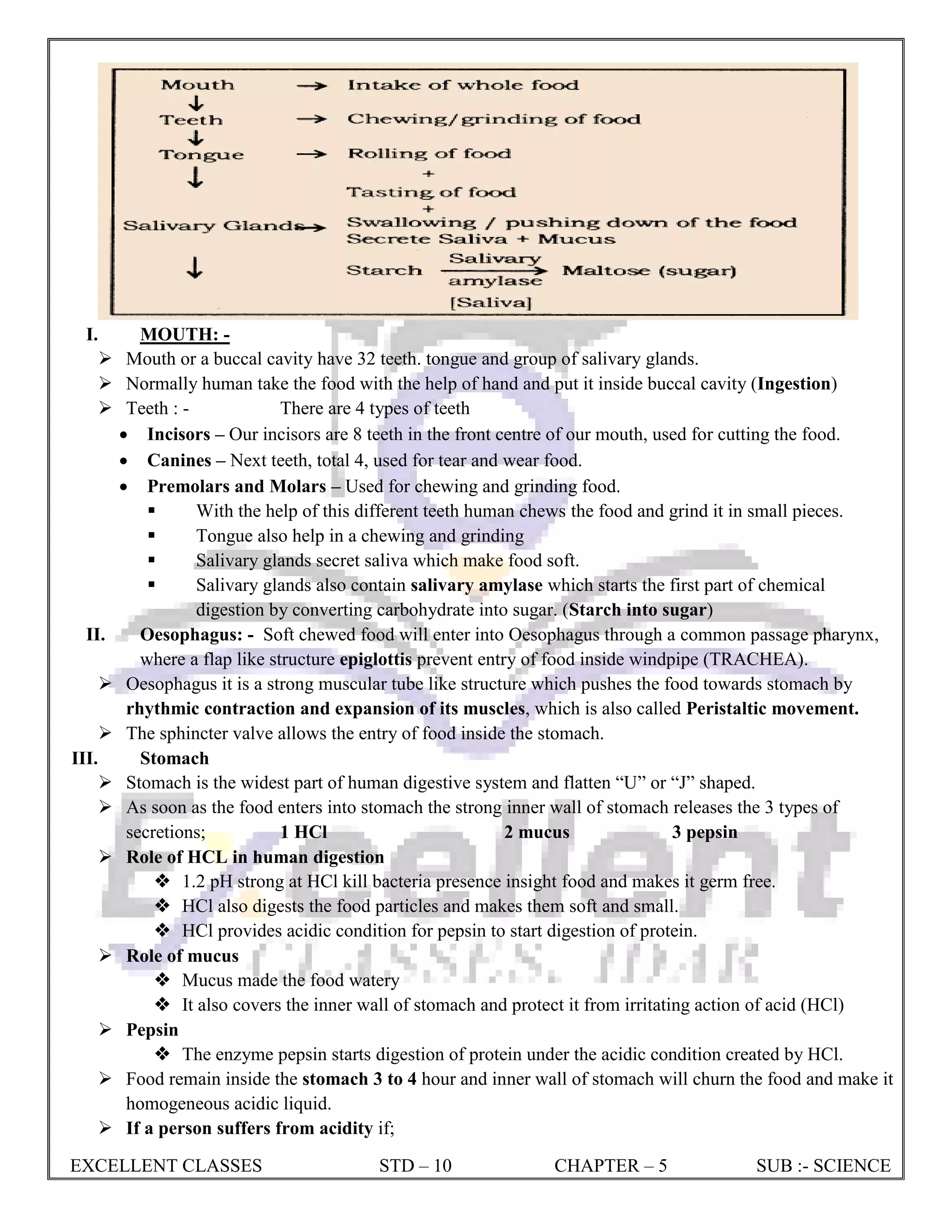CLASS 10 CH 5 LIFE PROCESSES NOTES EX.pdf
