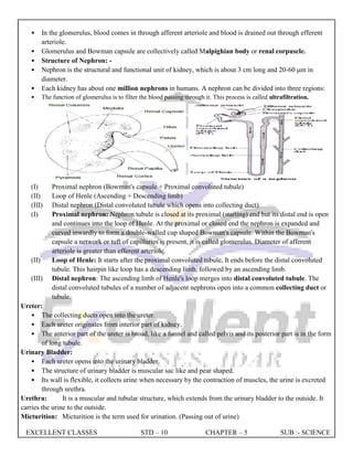 EXCELLENT CLASSES STD – 10 CHAPTER – 5 SUB :- SCIENCE
• In the glomerulus, blood comes in through afferent arteriole and blood is drained out through efferent
arteriole.
• Glomerulus and Bowman capsule are collectively called Malpighian body or renal corpuscle.
• Structure of Nephron: -
• Nephron is the structural and functional unit of kidney, which is about 3 cm long and 20-60 μm in
diameter.
• Each kidney has about one million nephrons in humans. A nephron can be divided into three regions:
• The function of glomerulus is to filter the blood passing through it. This process is called ultrafiltration.
(I) Proximal nephron (Bowman's capsule + Proximal convoluted tubule)
(II) Loop of Henle (Ascending + Descending limb)
(III) Distal nephron (Distal convoluted tubule which opens into collecting duct)
(I) Proximal nephron: Nephron tubule is closed at its proximal (starting) end but its distal end is open
and continues into the loop of Henle. At the proximal or closed end the nephron is expanded and
curved inwardly to form a double-walled cup shaped Bowman's capsule. Within the Bowman's
capsule a network or tuft of capillaries is present, it is called glomerulus. Diameter of afferent
arteriole is greater than efferent arteriole.
(II) Loop of Henle: It starts after the proximal convoluted tubule, It ends before the distal convoluted
tubule. This hairpin like loop has a descending limb, followed by an ascending limb.
(III) Distal nephron: The ascending limb of Henle's loop merges into distal convoluted tubule. The
distal convoluted tubules of a number of adjacent nephrons open into a common collecting duct or
tubule.
Ureter:
• The collecting ducts open into the ureter.
• Each ureter originates from interior part of kidney.
• The anterior part of the ureter is broad, like a funnel and called pelvis and its posterior part is in the form
of long tubule.
Urinary Bladder:
• Each ureter opens into the urinary bladder.
• The structure of urinary bladder is muscular sac like and pear shaped.
• Its wall is flexible, it collects urine when necessary by the contraction of muscles, the urine is excreted
through urethra.
Urethra: It is a muscular and tubular structure, which extends from the urinary bladder to the outside. It
carries the urine to the outside.
Micturition: Micturition is the term used for urination. (Passing out of urine)
 