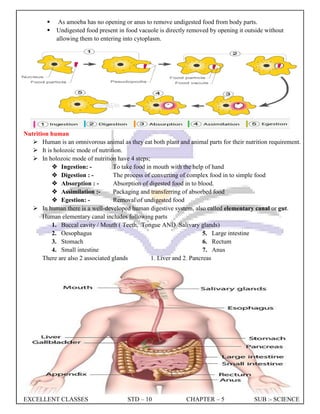 EXCELLENT CLASSES STD – 10 CHAPTER – 5 SUB :- SCIENCE
 As amoeba has no opening or anus to remove undigested food from body parts.
 Undigested food present in food vacuole is directly removed by opening it outside without
allowing them to entering into cytoplasm.
Nutrition human
 Human is an omnivorous animal as they eat both plant and animal parts for their nutrition requirement.
 It is holozoic mode of nutrition.
 In holozoic mode of nutrition have 4 steps;
 Ingestion: - To take food in mouth with the help of hand
 Digestion : - The process of converting of complex food in to simple food
 Absorption : - Absorption of digested food in to blood.
 Assimilation :- Packaging and transferring of absorbed food
 Egestion: - Removalof undigested food
 In human there is a well-developed human digestive system, also called elementary canal or gut.
Human elementary canal includes following parts
1. Buccal cavity / Mouth ( Teeth, Tongue AND Salivary glands)
2. Oesophagus
3. Stomach
4. Small intestine
5. Large intestine
6. Rectum
7. Anus
There are also 2 associated glands 1. Liver and 2. Pancreas
 