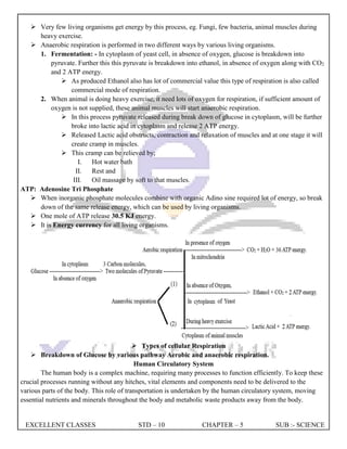 EXCELLENT CLASSES STD – 10 CHAPTER – 5 SUB :- SCIENCE
 Very few living organisms get energy by this process, eg. Fungi, few bacteria, animal muscles during
heavy exercise.
 Anaerobic respiration is performed in two different ways by various living organisms.
1. Fermentation: - In cytoplasm of yeast cell, in absence of oxygen, glucose is breakdown into
pyruvate. Further this this pyruvate is breakdown into ethanol, in absence of oxygen along with CO2
and 2 ATP energy.
 As produced Ethanol also has lot of commercial value this type of respiration is also called
commercial mode of respiration.
2. When animal is doing heavy exercise, it need lots of oxygen for respiration, if sufficient amount of
oxygen is not supplied, these animal muscles will start anaerobic respiration.
 In this process pyruvate released during break down of glucose in cytoplasm, will be further
broke into lactic acid in cytoplasm and release 2 ATP energy.
 Released Lactic acid obstructs, contraction and relaxation of muscles and at one stage it will
create cramp in muscles.
 This cramp can be relieved by;
I. Hot water bath
II. Rest and
III. Oil massage by soft to that muscles.
ATP: Adenosine Tri Phosphate
 When inorganic phosphate molecules combine with organic Adino sine required lot of energy, so break
down of the same release energy, which can be used by living organisms.
 One mole of ATP release 30.5 KJ energy.
 It is Energy currency for all living organisms.
 Types of cellular Respiration
 Breakdown of Glucose by various pathway Aerobic and anaerobic respiration.
Human Circulatory System
The human body is a complex machine, requiring many processes to function efficiently. To keep these
crucial processes running without any hitches, vital elements and components need to be delivered to the
various parts of the body. This role of transportation is undertaken by the human circulatory system, moving
essential nutrients and minerals throughout the body and metabolic waste products away from the body.
 