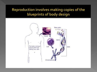 how do organisms reproduce