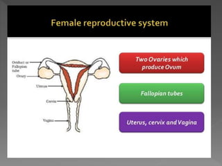 how do organisms reproduce