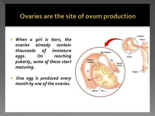 how do organisms reproduce